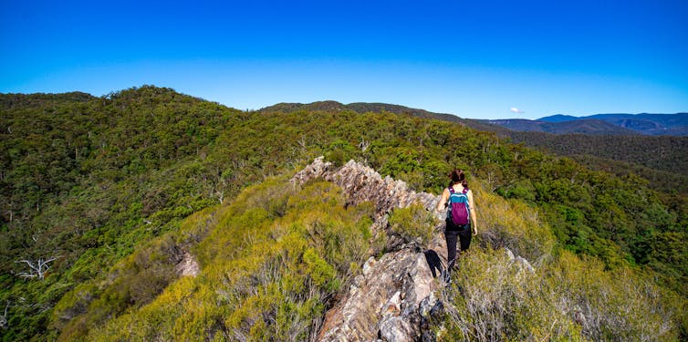 In 2025, let’s make it game on – not game over – for our precious natural world – The&nbsp;Conversation