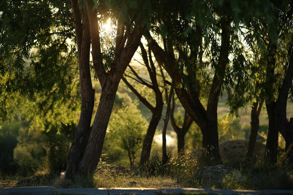 Humans can work with nature to solve big environmental problems – but there’s no quick fix | The&nbsp;Conversation