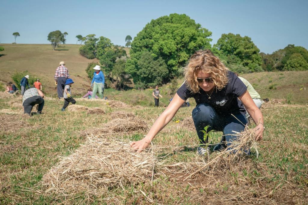 Connecting and Expanding Habitat in Gippsland’s National Parks and Reserves | Greening&nbsp;Australia