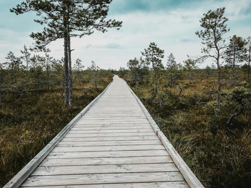 Principles for ecosystem restoration to guide the United Nations decade 2021 – 2023 | United&nbsp;Nations