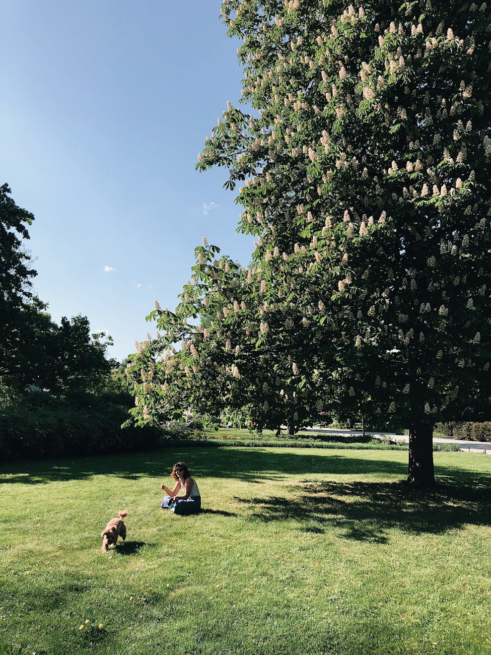 What is green space worth? | The&nbsp;Conversation