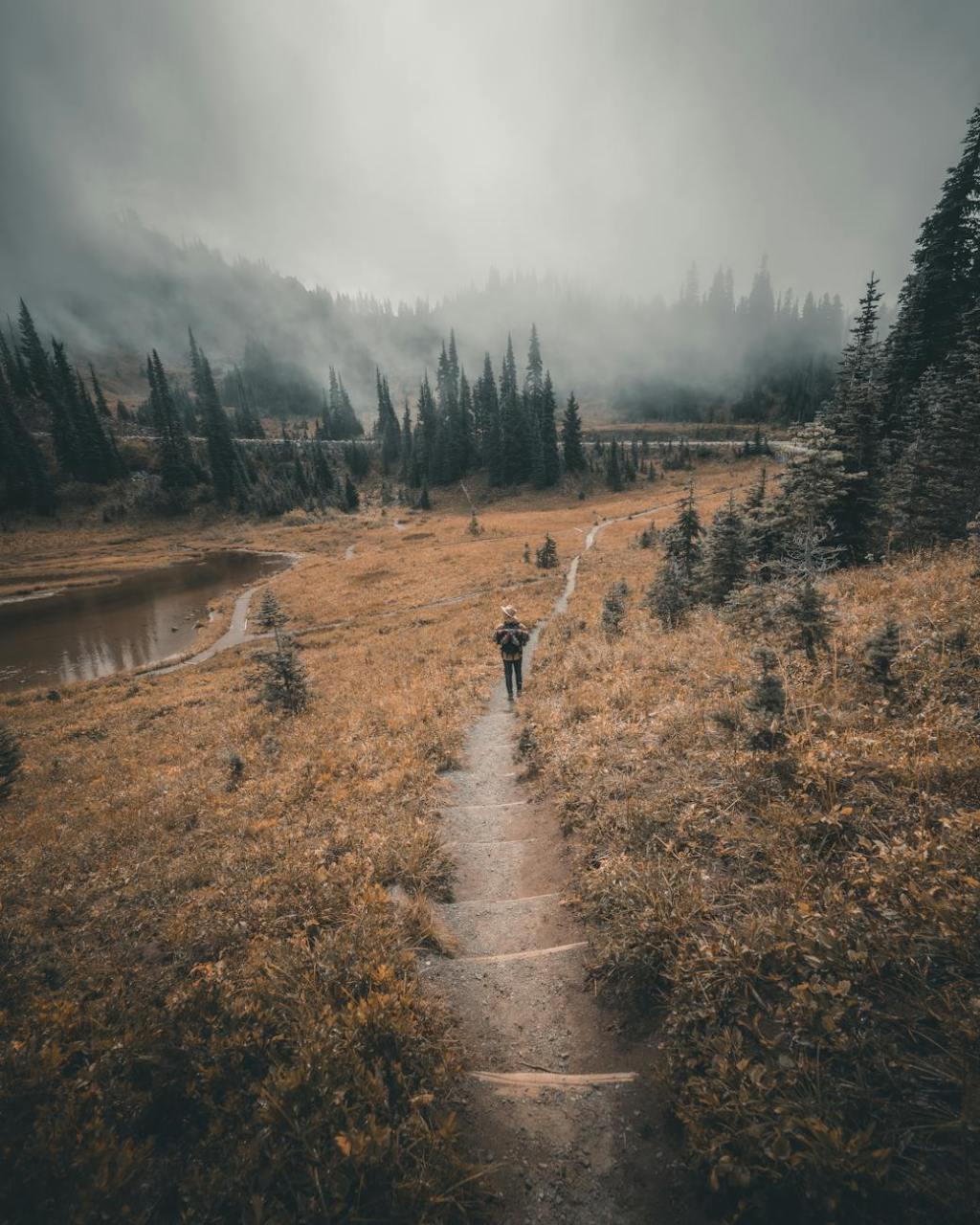 Just 15 minutes in nature can boost your wellbeing | National Tree&nbsp;Day