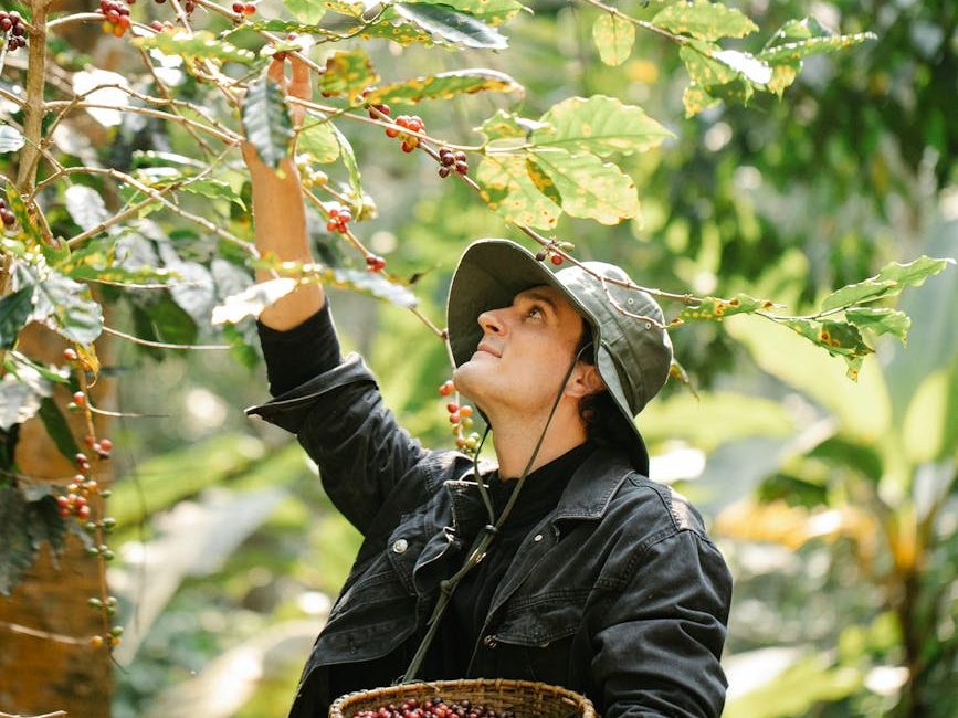 EU extends compliance deforestation law | ESG&nbsp;News