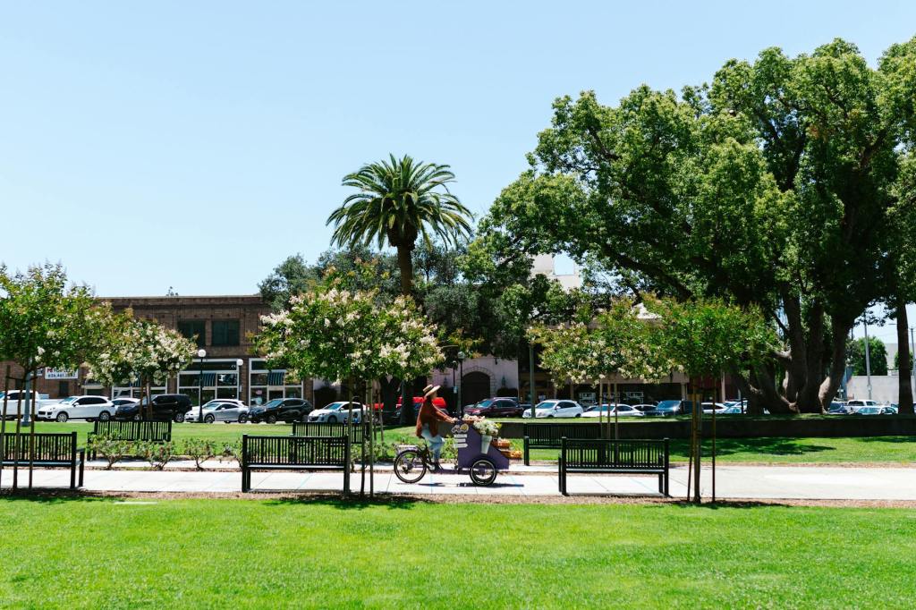 Nature and shops: here’s what people told us they want most from urban planning | The&nbsp;Conversation