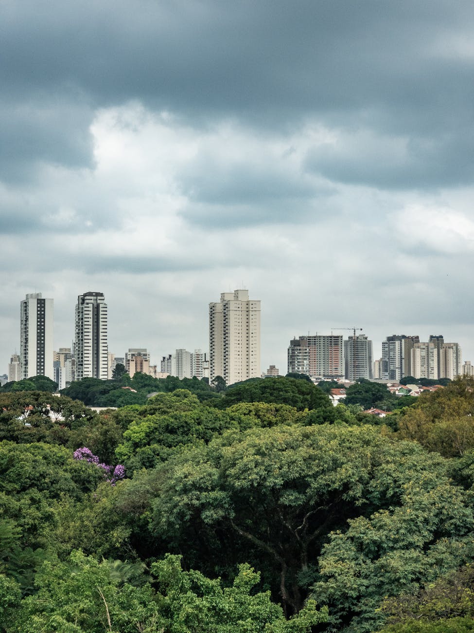 The 3-30-300 rule for urban&nbsp;forestry