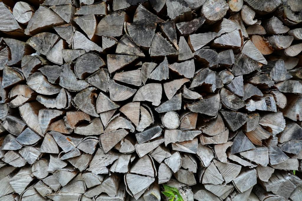 Mining giant Rio Tinto growing native pongamia trees for biofuel potential | ABC&nbsp;News