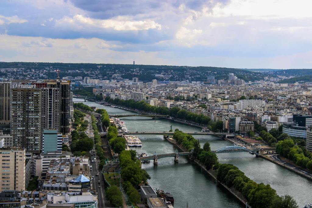 Miracle of Seine River Fish Recovery Reveals Urban Ecosystem Potential | Happy Eco&nbsp;News