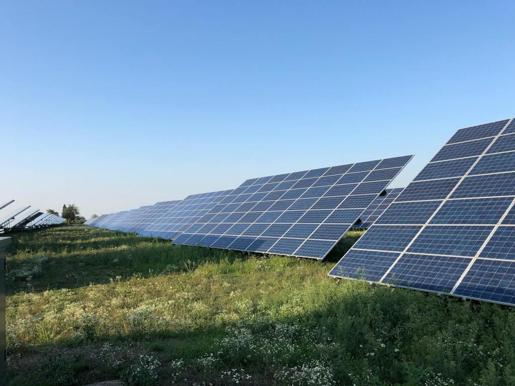 Solar farms help grasslands beat the heat—and significantly boost their biomass | Anthropocene&nbsp;Magazine
