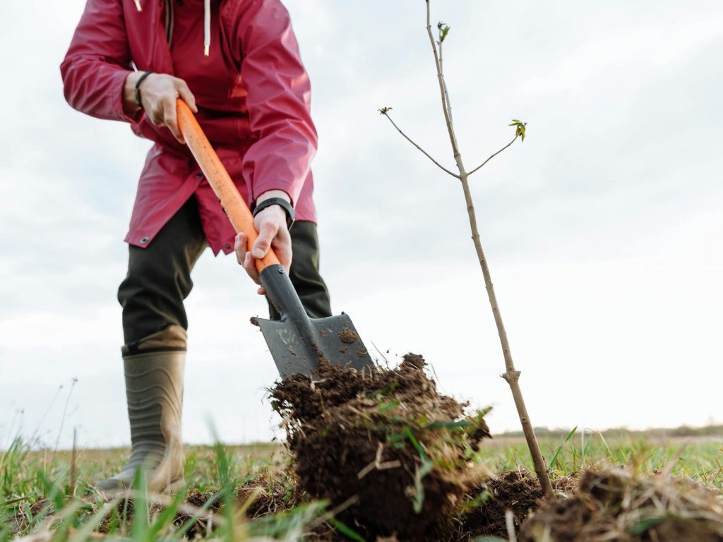 Biodiversity leaks: Conservation efforts may shift harm elsewhere |&nbsp;Earth.com