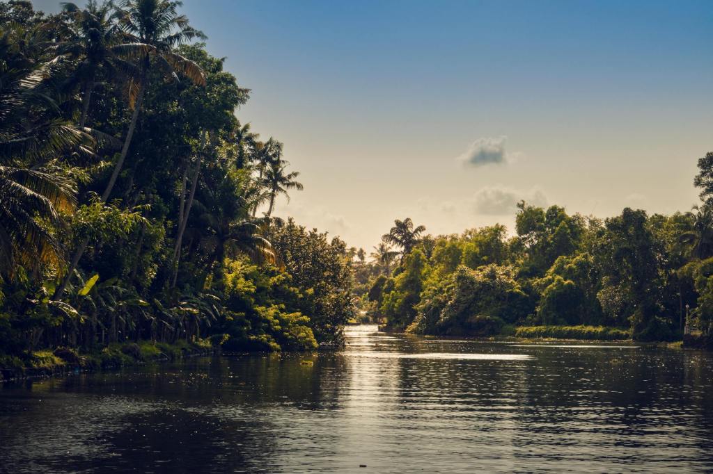 To protect rainforests, do people need to be kept out? | Anthropocene&nbsp;Magazine