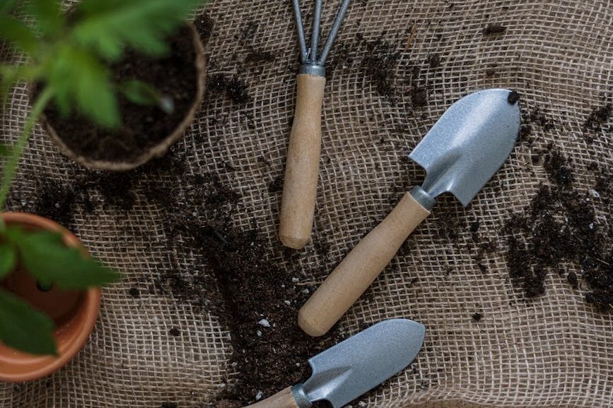 10 tips for plastic free planting | Greening&nbsp;Australia