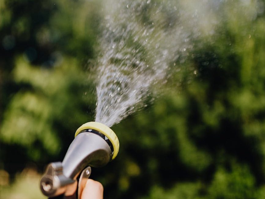 To keep your cool in a heatwave, it may help to water your trees | The&nbsp;Conversation