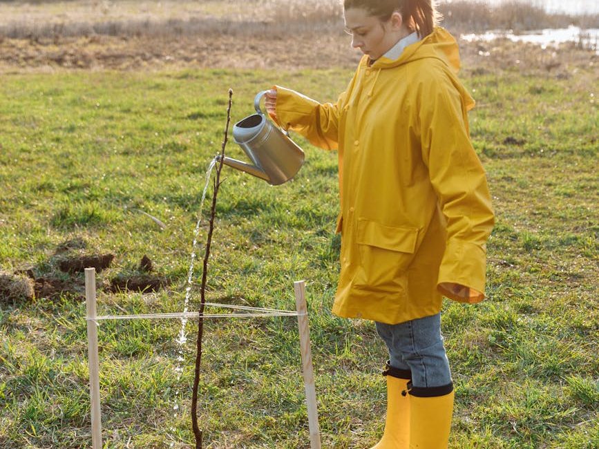 Volunteers in England Plant Thousands of Trees for Wildlife | The Happy&nbsp;Broadcast