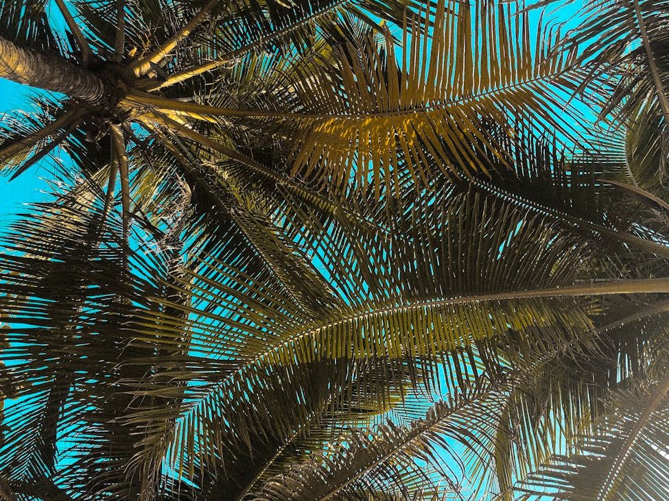 The design and consequences of policies intended to compensate for the loss of nature | Centenary and District Environment&nbsp;Action