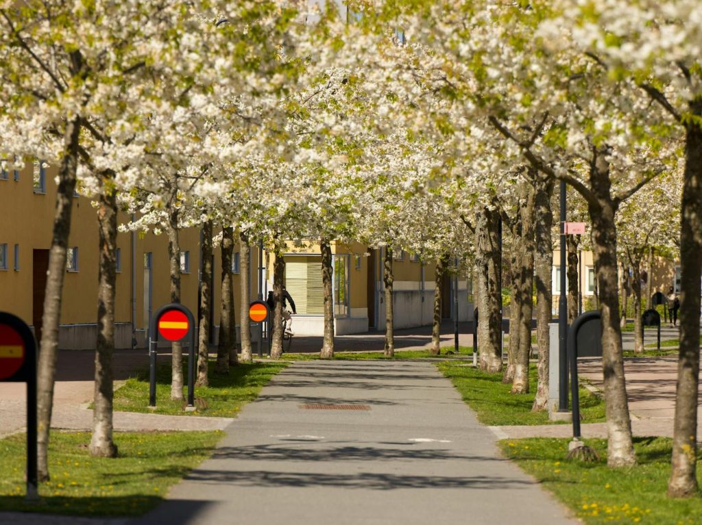 Most bike lanes in inner Melbourne have less than 40% tree cover – that’ll get worse, new maps show | The&nbsp;Conversation
