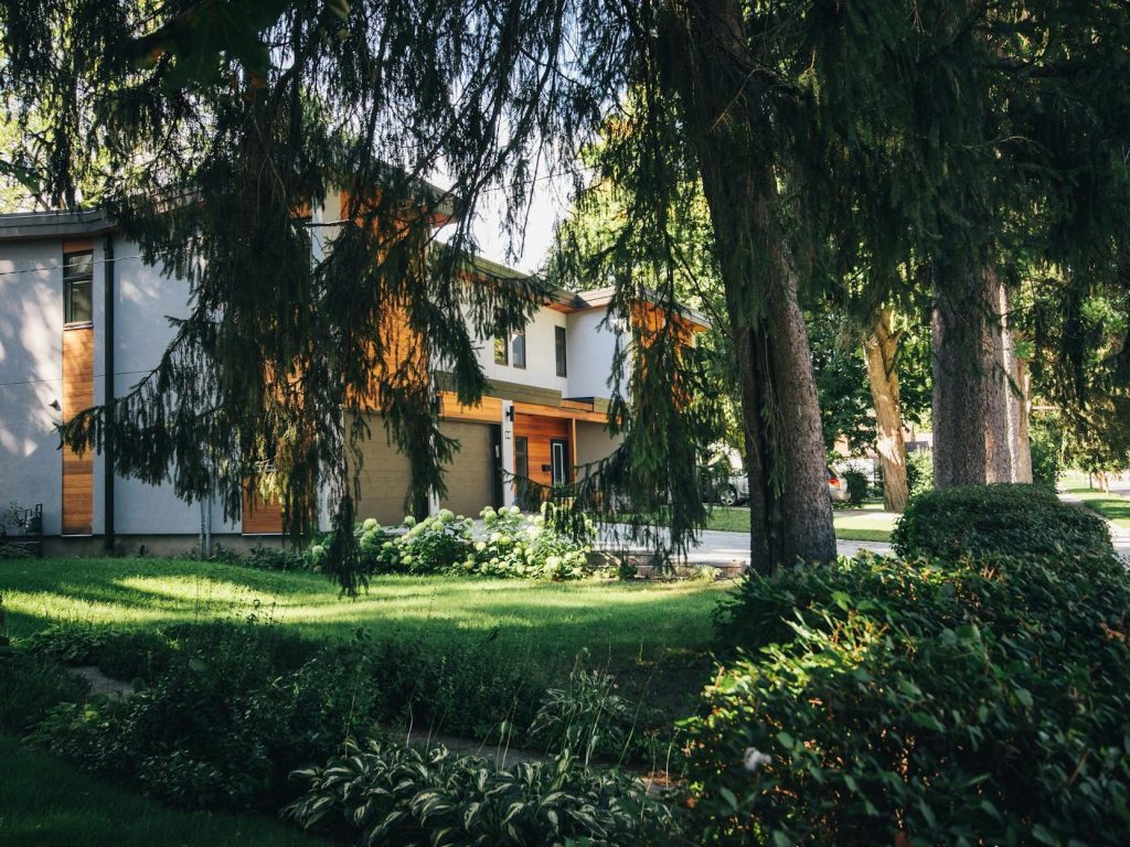 Small-Scale Biodiversity Arks and Native Plant Restoration Projects Transform Suburban Landscapes | Happy Eco&nbsp;News