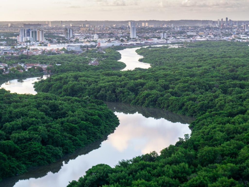 Climate action – Amey pledges to embed biodiversity into UK infrastructure | Smart Cities&nbsp;World