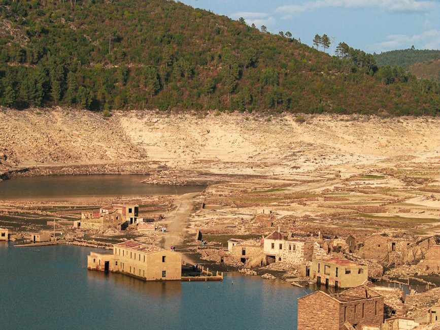 The world has agreed to raise $200 billion a year by 2030 to reverse nature decline | World Economic&nbsp;Forum