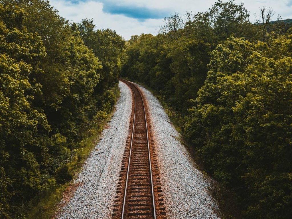 Tree Council and Network Rail renew tree planting partnership | Smart Cities&nbsp;World