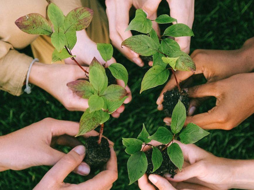 10 tips for plastic free planting | Greening&nbsp;Australia