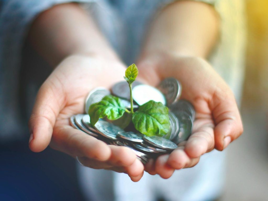 NAB: Activist shareholders want bank to stop financing deforestation |&nbsp;AFR