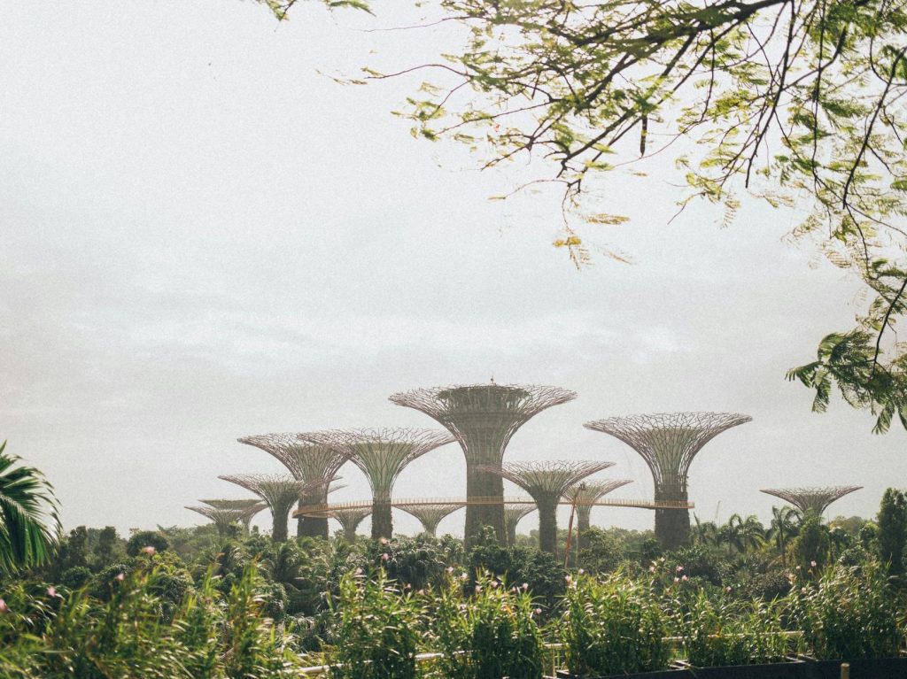 Plans for 8 more parks, another 13km of park connectors in Singapore | The Straits&nbsp;Times