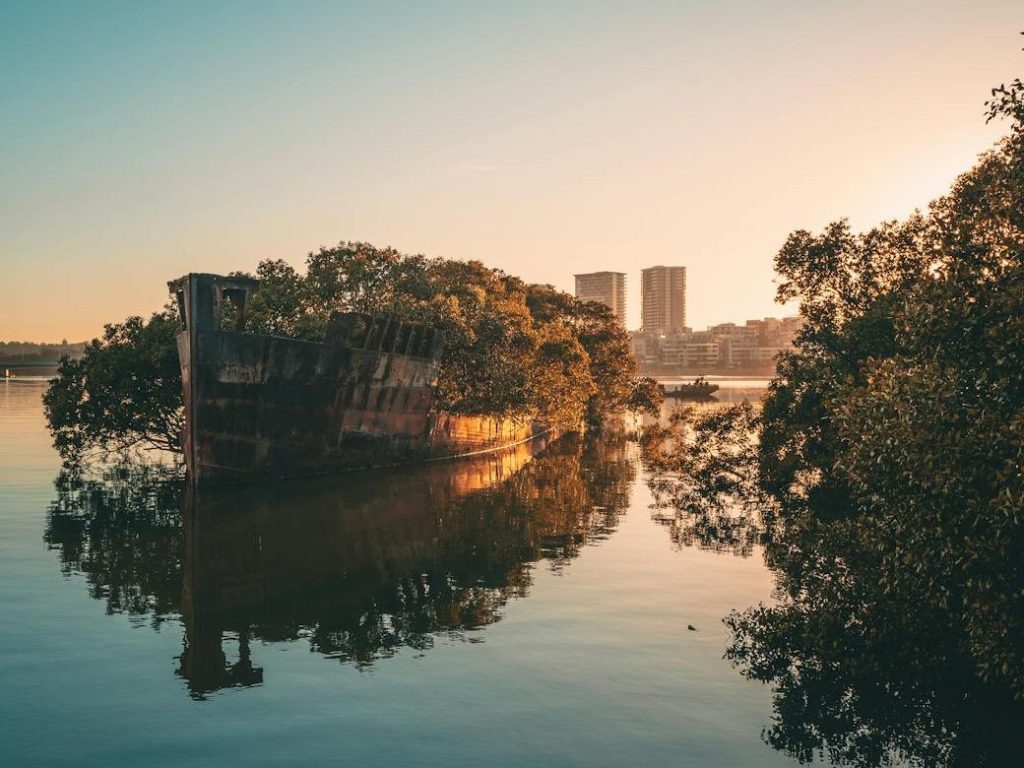 Vegetation reinforcement holding against relentless&nbsp;ocean