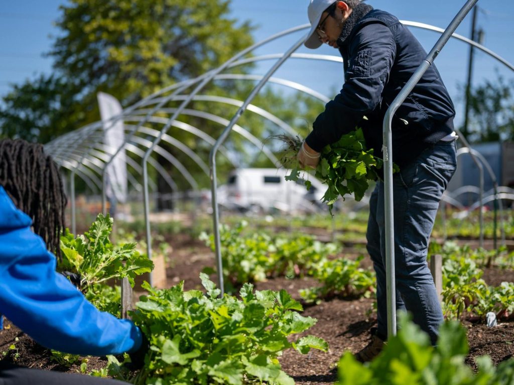 Urban farming tackles rising costs in Kuala Lumpur | The Straits&nbsp;Times