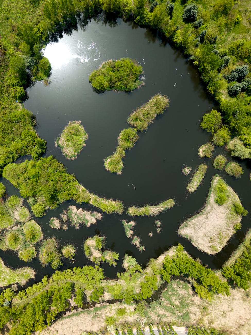 Feeling Blue? Nature’s Got You! | Mother&nbsp;Nature