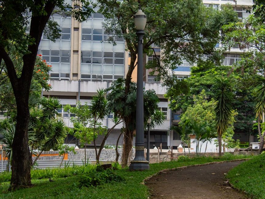 Ricardo Cardim on greening Brazil’s concrete jungle |&nbsp;Reuters