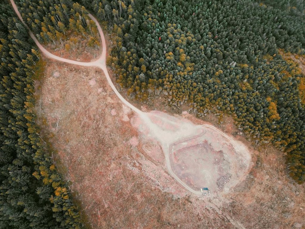 Investors managing $3 trillion in assets urge countries to stop deforestation |&nbsp;Reuters