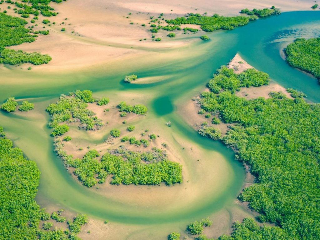 Can putting a price on Africa’s biodiversity save it? |&nbsp;Reuters