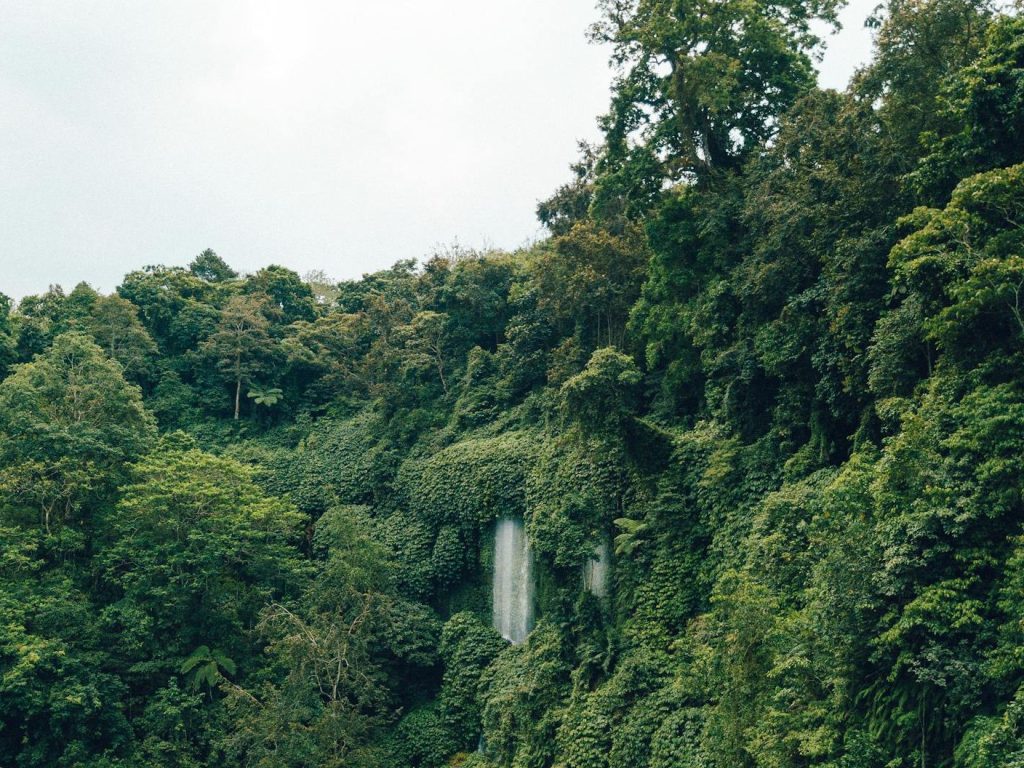 To protect rainforests, do people need to be kept out? | Anthropocene&nbsp;Magazine