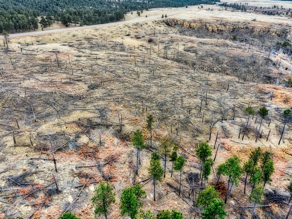 World falling far behind deforestation goals with farms and fires driving loss, report says |&nbsp;Reuters