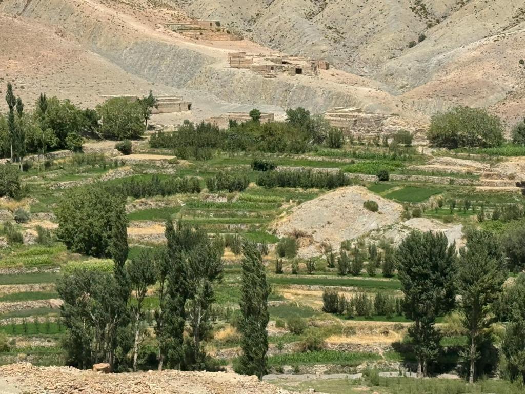 Liquid Nanoclay Joins Growing Arsenal of Soil Restoration Methods for Arid Lands | Happy Eco&nbsp;News